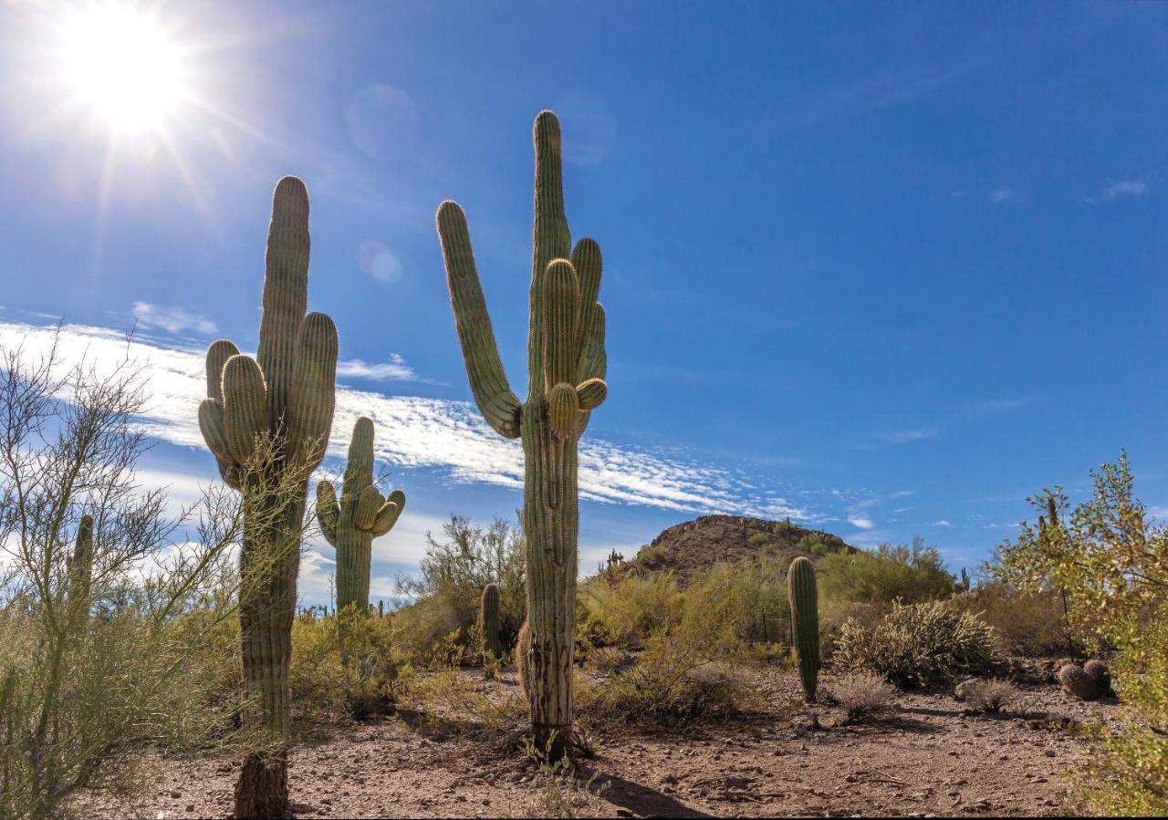 Orange Tree Resort Phoenix Bagian luar foto